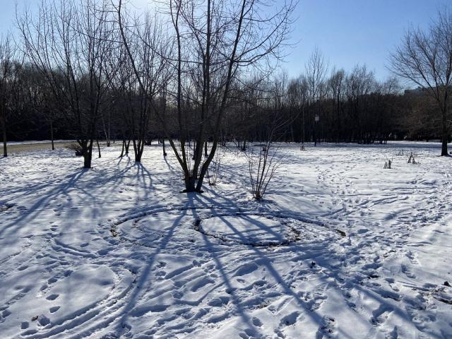 Лот 4026502